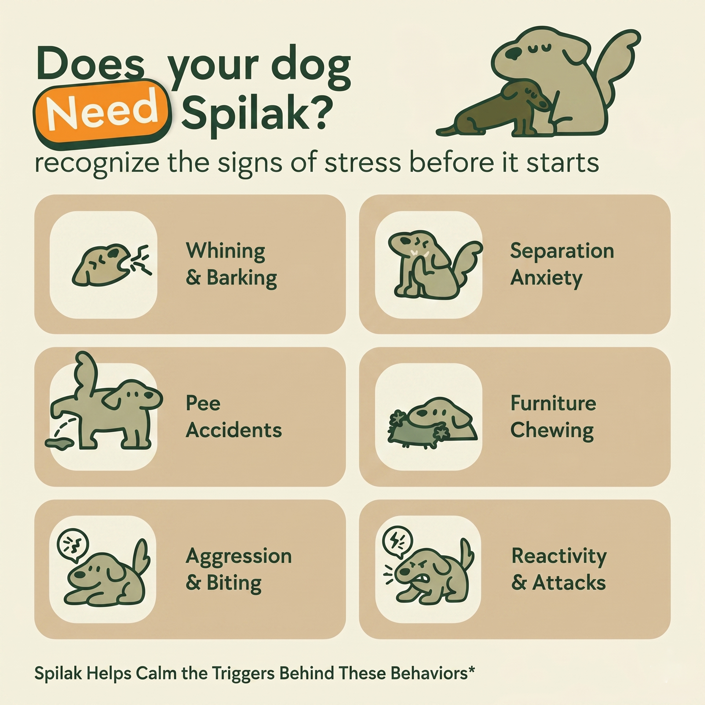 Calming Diffuser for Dogs & Cats