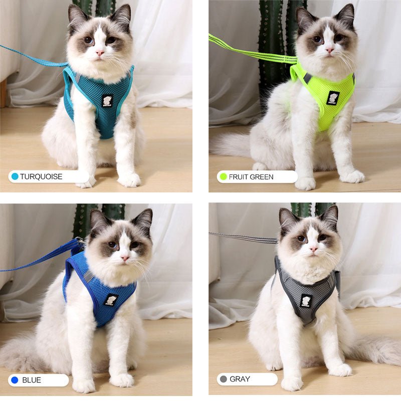 Anti Strike Harness & Leash
